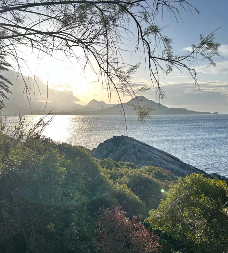 Ruhige Meereslandschaft bei Sonnenuntergang mit Blick durch mediterrane Zweige auf Berge am Horizont und Felsen im Vordergrund – Sinnbild für Ankommen und Innehalten